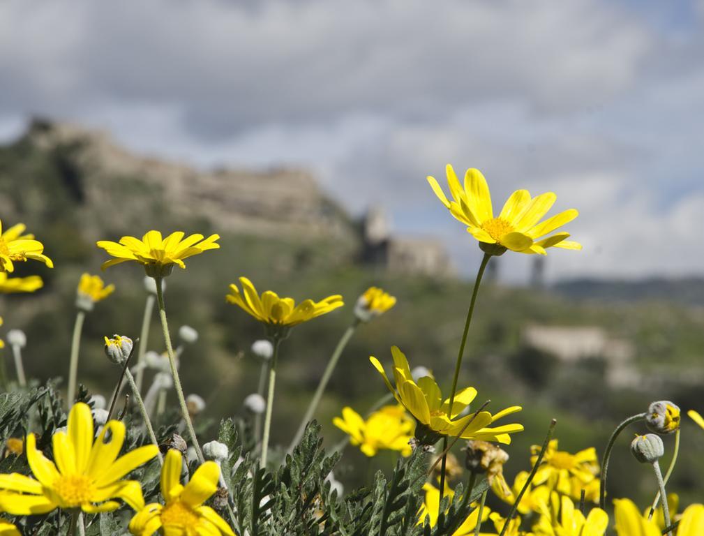 Casa Vacanza Cicirello Giardini Naxos Bilik gambar